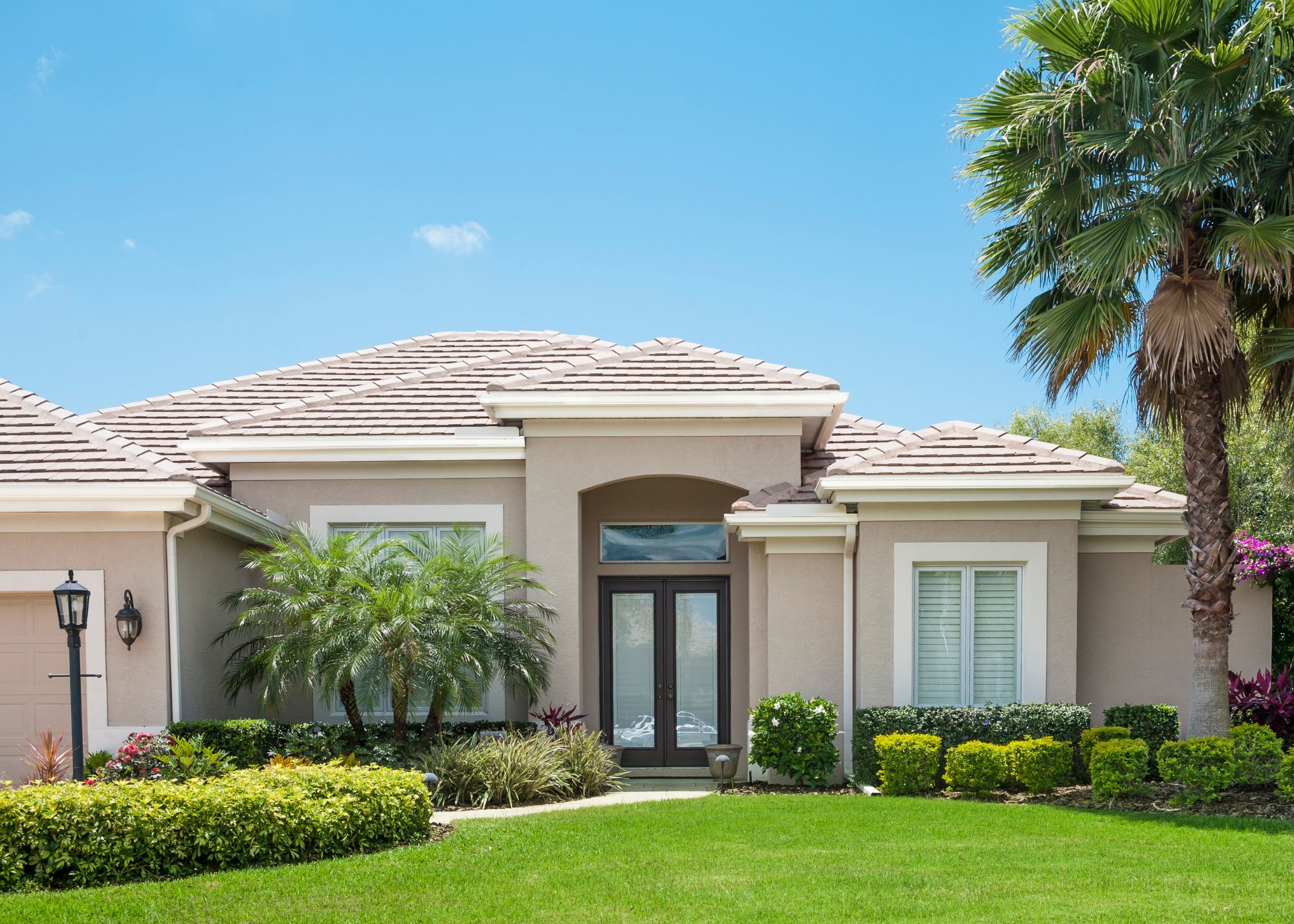 Front yard curb appeal landscaping